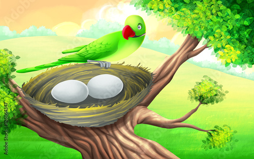 The twins (story of parrots...