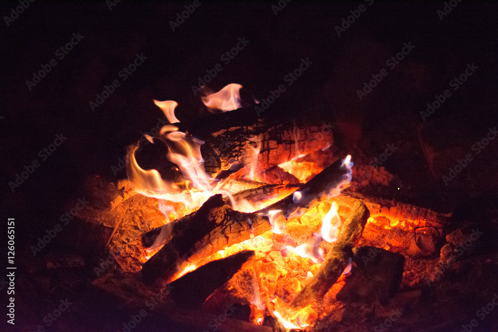 Bonfire Bonfire