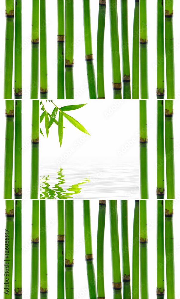 Still life with young bamboo sticks with leaf and stones Still life with young bamboo sticks with leaf and stones