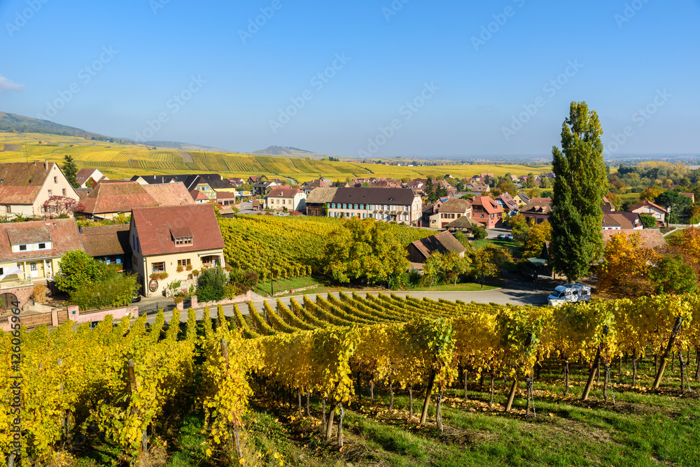Hunawihr - small village in vineyards of alsace - france