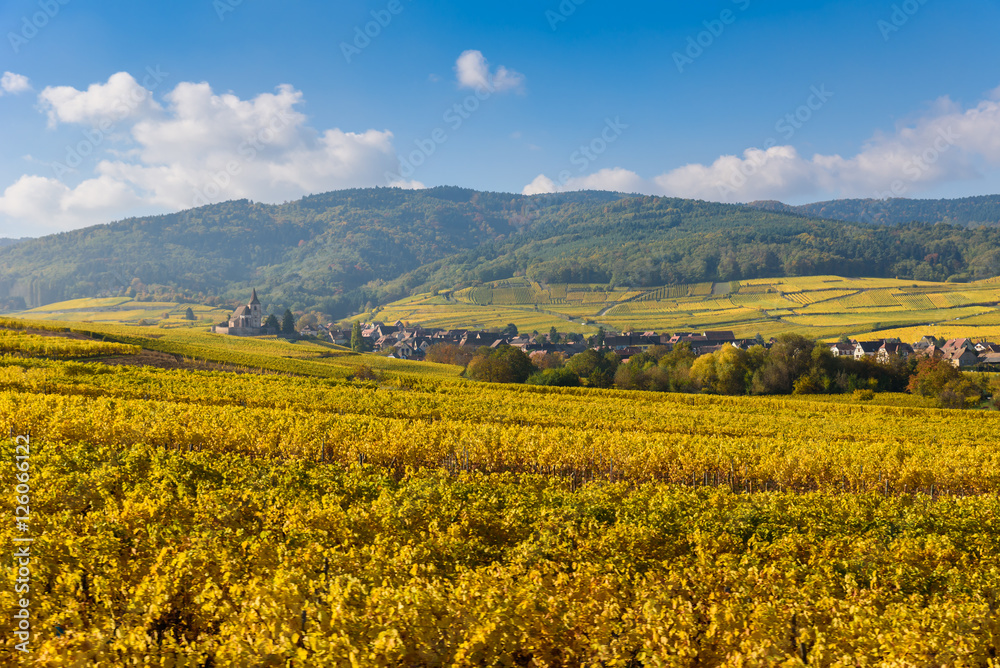 Hunawihr - small village in vineyards of alsace - france