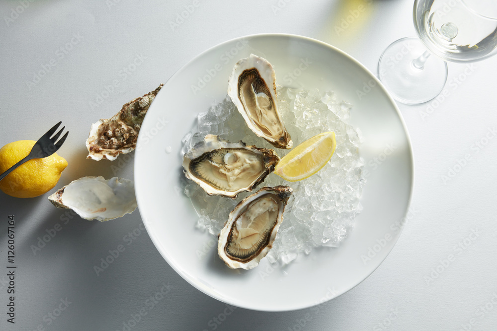 Oysters with lemon on plates Oysters with lemon on plates