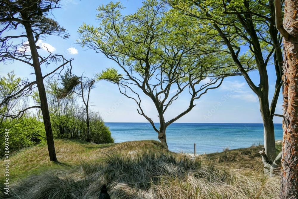 weststrand in öl