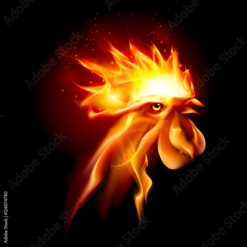 Fire Rooster