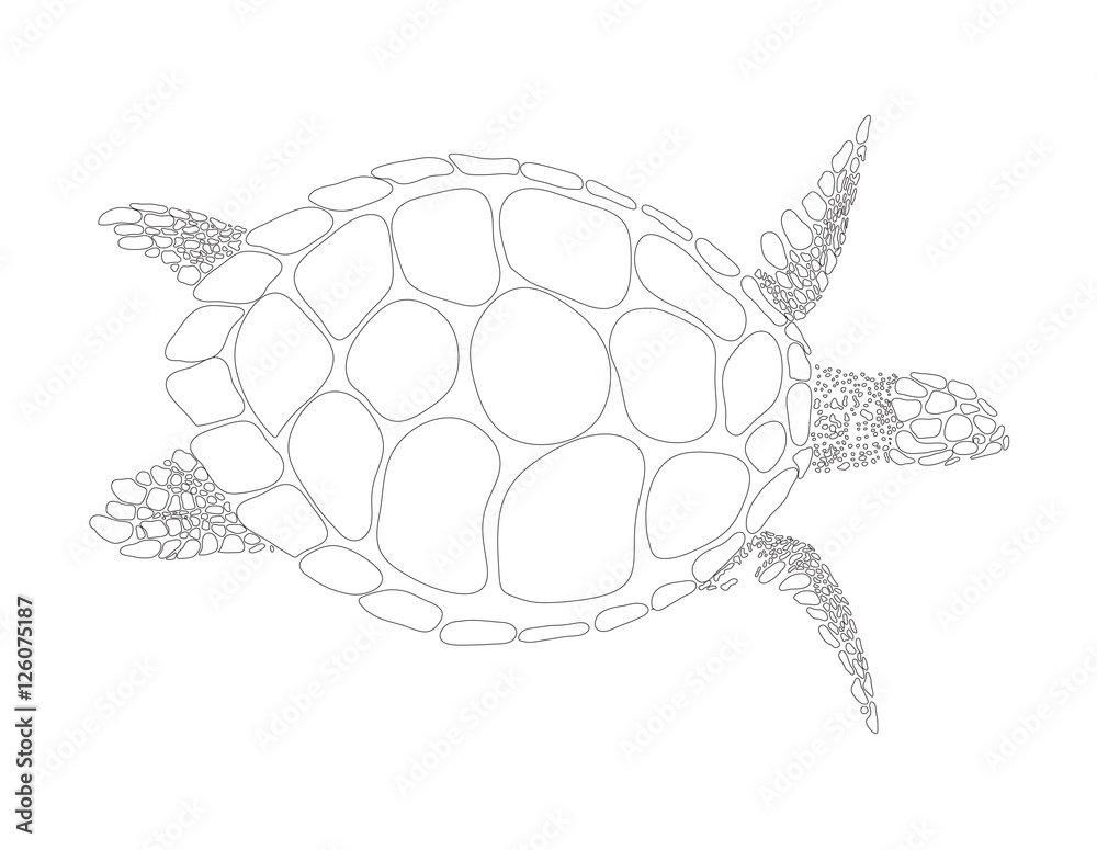 Fototapeta premium turtle vector symbol