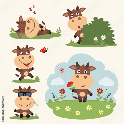 Vector set funny cow in different poses on summer meadow with flowers. Collection cow in cartoon style.