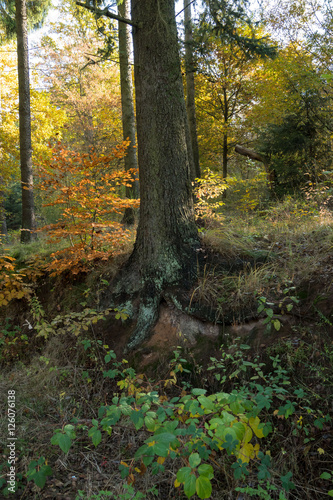 Herbstland