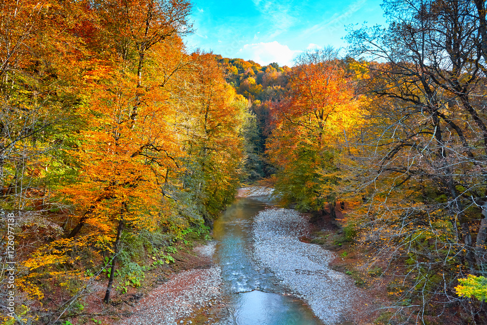 Beautiful waterfall in forest at sunset. Autumn landscape, fallen leaves, water flow
Beautiful waterfall in forest at sunset. Autumn landscape, fallen leaves, water flow