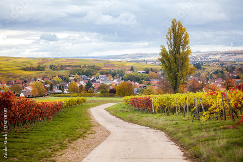 Alzey Weinheim im Herbst