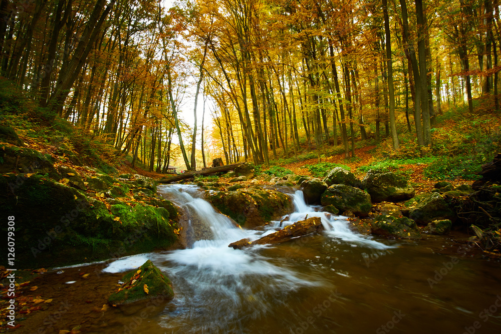 Autumn flowing stream