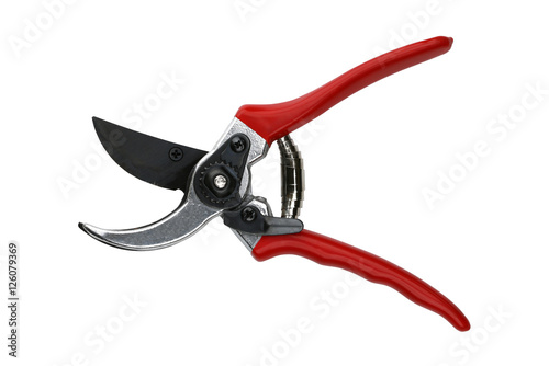 garden secateurs isolated on white background photo