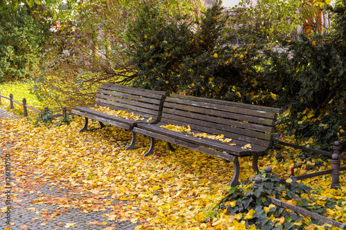 Park bench covered in yellow and orange autumn leaves at Gendarmenmarkt, Berlin.