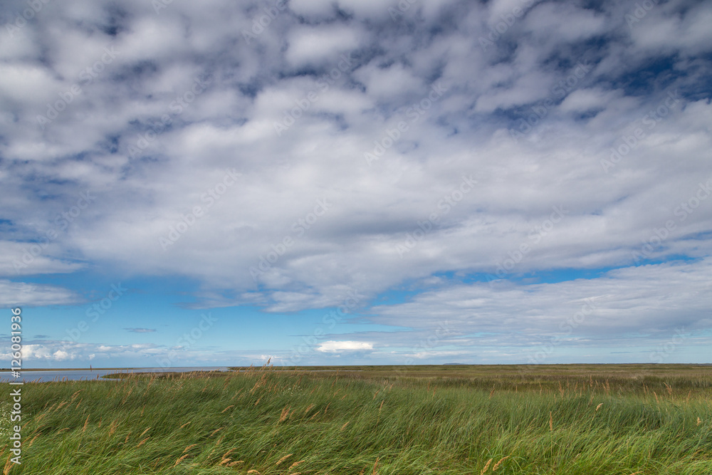 View over grassland on cloudy day at baltic sea (Pramort, Zingst View over grassland on cloudy day at baltic sea (Pramort, Zingst
