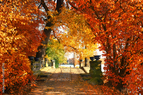 bunte Herbstfarben im Park, schöner sonniger Herbsttag