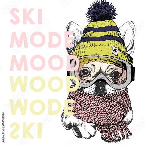 Vector poster with close up portrait of beagle dog.Ski mode mood. Puppy wearing beanie, scarf and snow goggles.