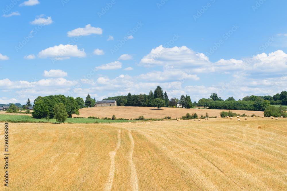Agriculture landscape in France