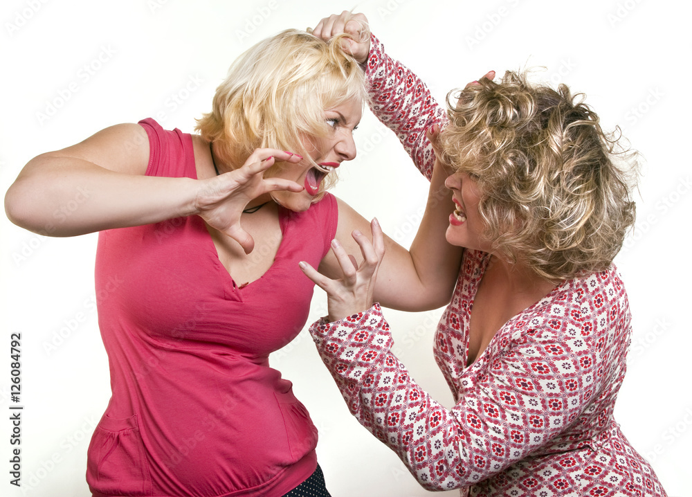 on a white background two adult women blondes fighting on a white background two adult women blondes fighting