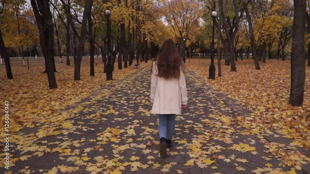 teen girl is in the park in autumn. teen girl is in the park in autumn.