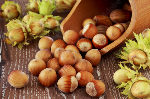 the handful of hazelnuts photo