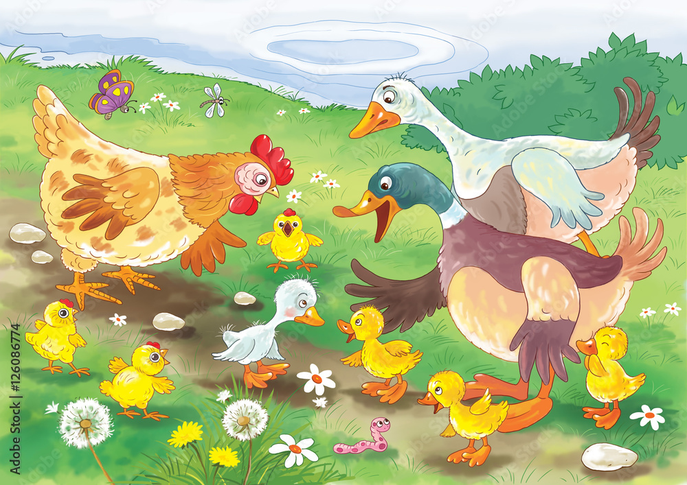 Obraz premium Ugly duckling. Fairy tale. Illustration for children