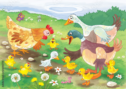 Ugly duckling. Fairy tale. Illustration for children