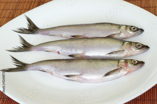 Fresh fish vendace on a white plate