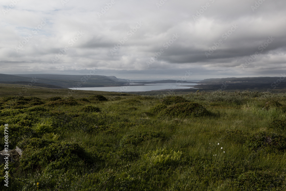 Green valley and lake in cloudy weather, highlands. Arctic summer, the tundra, Norway.