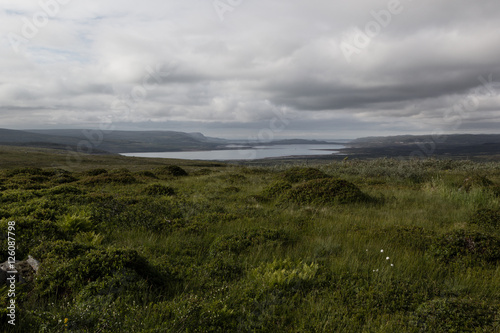 Green valley and lake in cloudy weather, highlands. Arctic summer, the tundra, Norway.