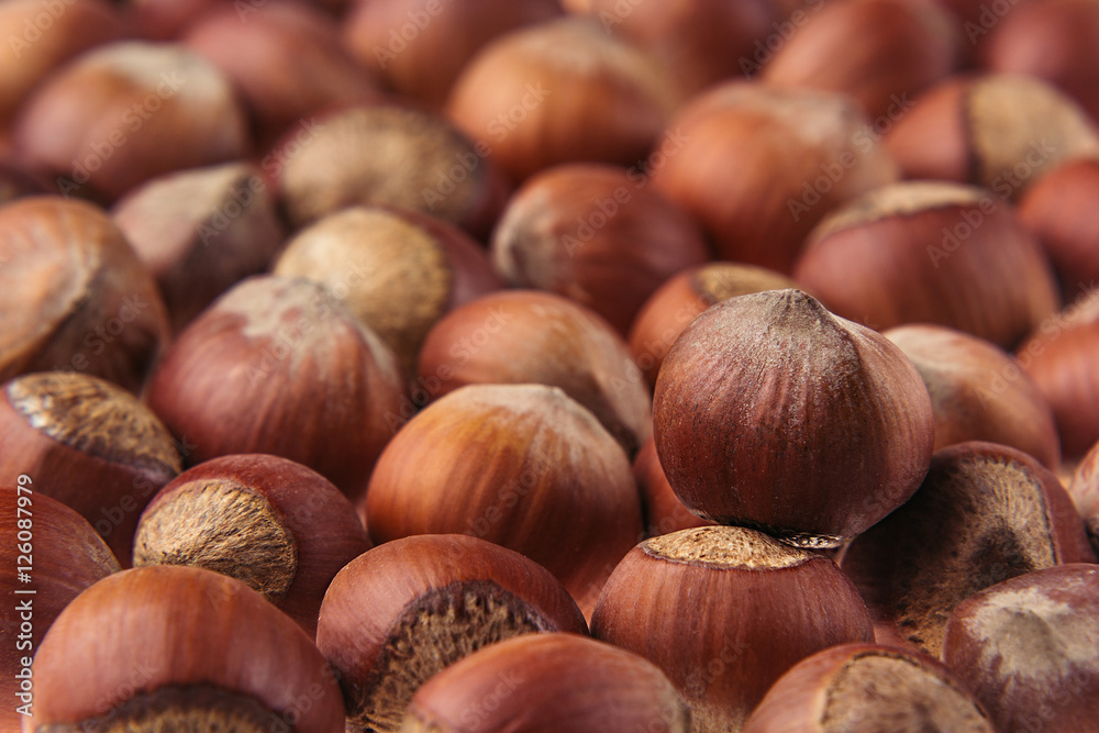 Hazelnut background. Pile of selected hazel close-up. For vegetarians. Hazelnut background. Pile of selected hazel close-up. For vegetarians.