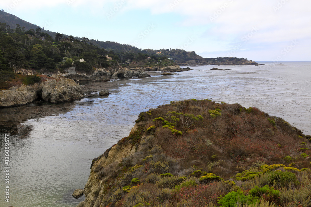  Point Lobos