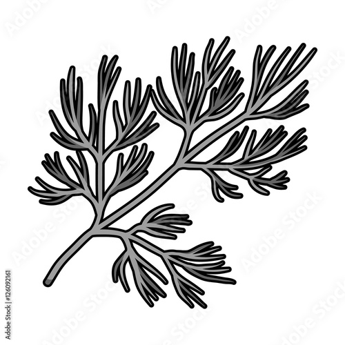 Dill icon in monochrome style isolated on white background. Herb an spices symbol stock vector illustration.