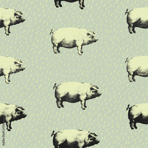 Seamless vector pattern wits pigs