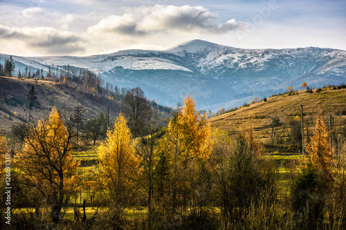 snowy peaks over autumn forest © Pellinni