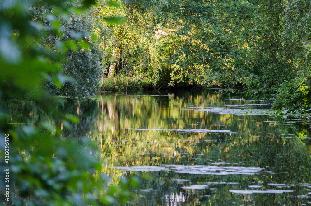 Am See Am See