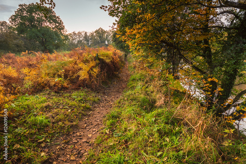 Autumn leaves along the River South Tyne, on the riverside trail through woodland,  at Warden in Norhumberland photo
