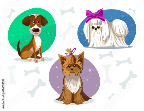 Dogs set