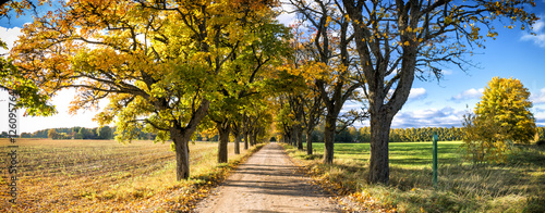 Panorama of countryside road, autumn in Europe