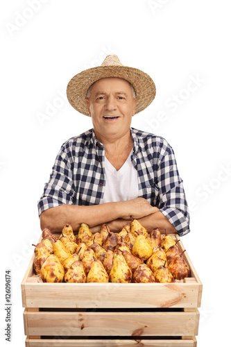 Mature farmer with a crate full of pears