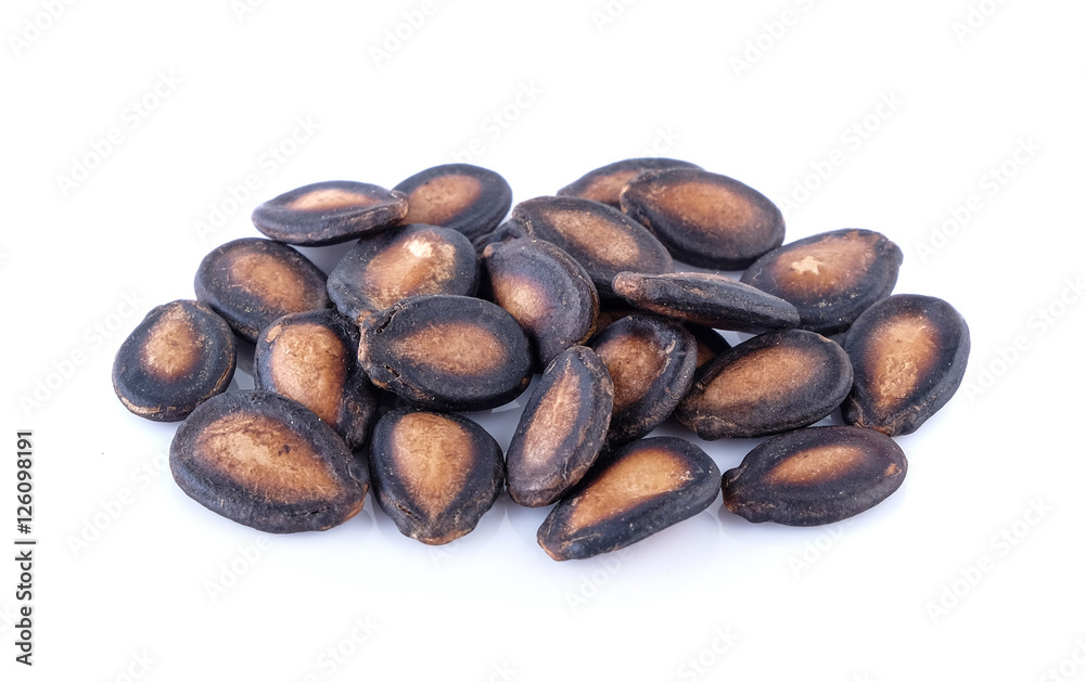 watermelon seed on white background watermelon seed on white background