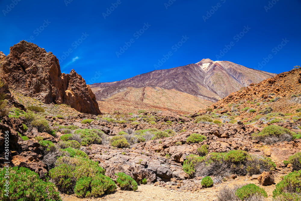 beautiful view of the mount Teide
