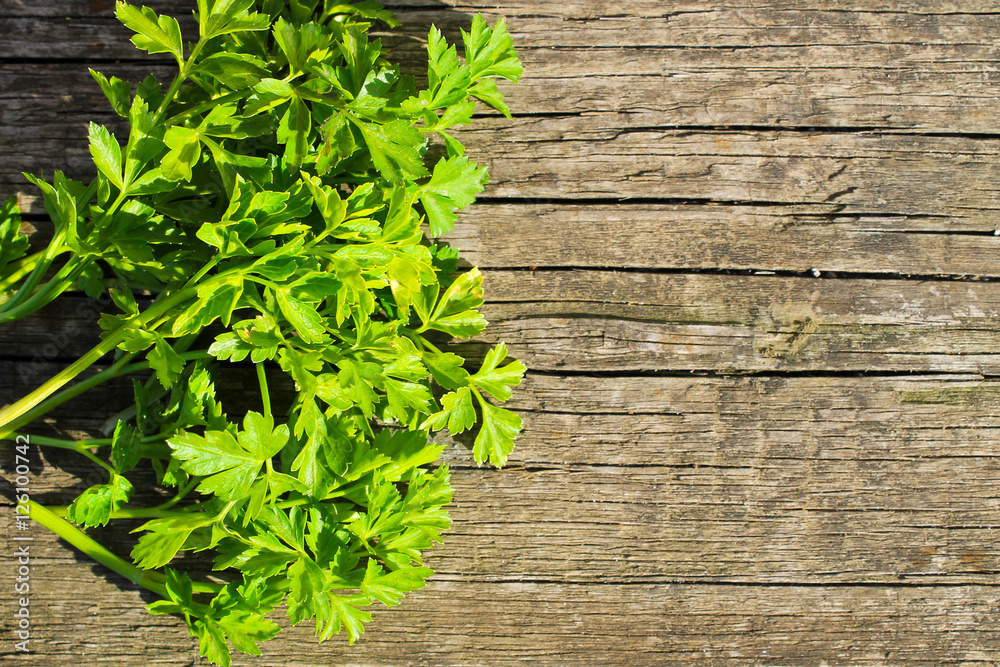 Green fresh parsley on wooden background Green fresh parsley on wooden background