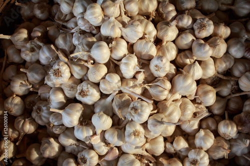 garlic Thailand