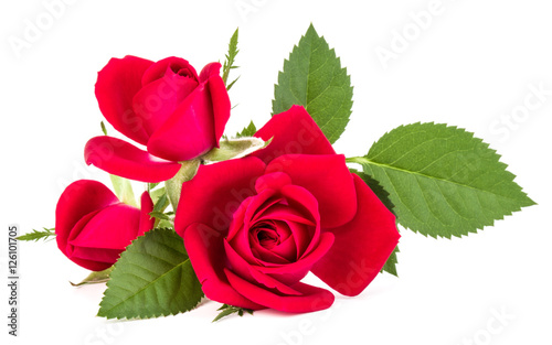 red rose flower bouquet isolated on white background cutout