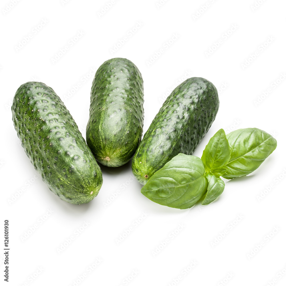 Cucumber vegetable and basil leaves isolated on white background Cucumber vegetable and basil leaves isolated on white background