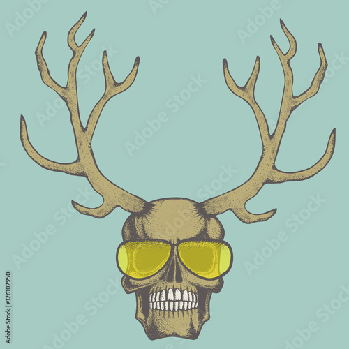 Vector skull illustration