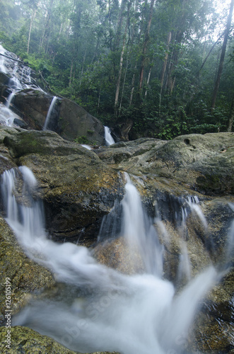 Fototapeta Naklejka Na Ścianę i Meble -  water stream and beautiful waterfall surrounded by green forest