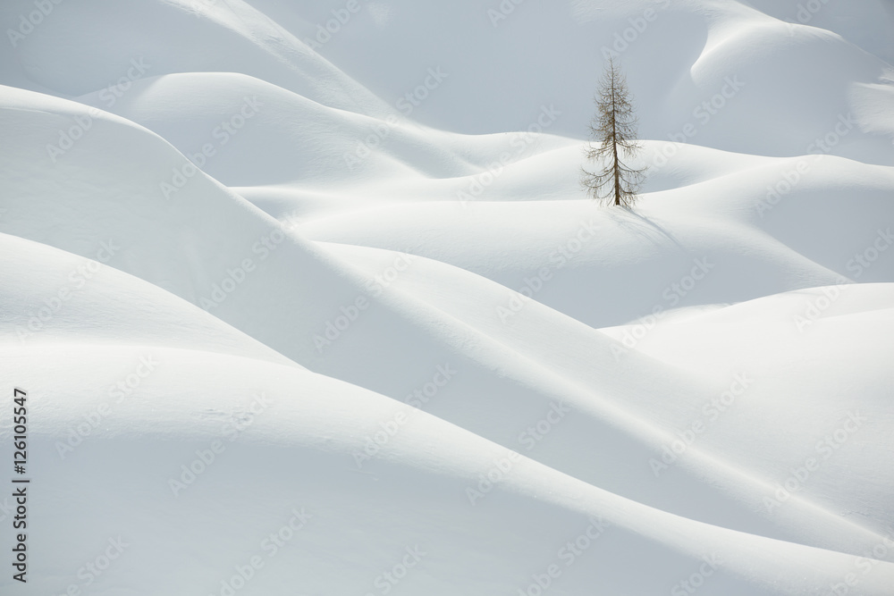 Obraz premium Beautiful snow covered hills with pine tree, winter landscape