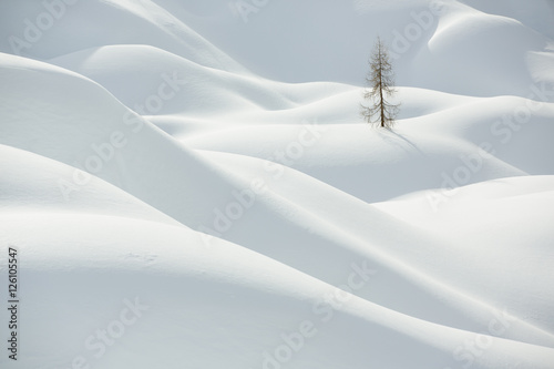 Beautiful snow covered hills with pine tree, winter landscape