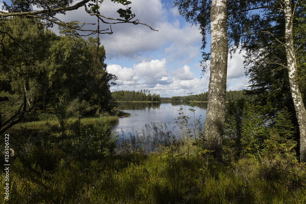 Fototapeta premium River near Bolmen, south sweden