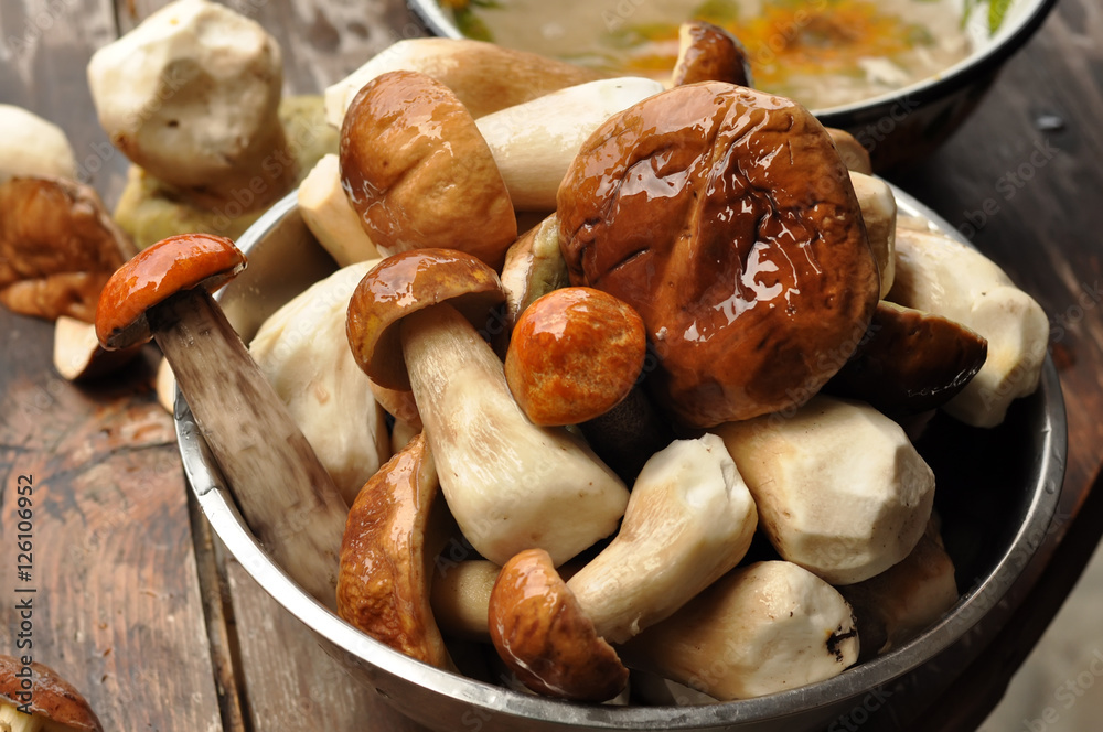 ceps. Crop of white mushrooms. White mushrooms close up. Peeled white mushrooms. Harvest mushrooms in the mountains ceps. Crop of white mushrooms. White mushrooms close up. Peeled white mushrooms. Harvest mushrooms in the mountains